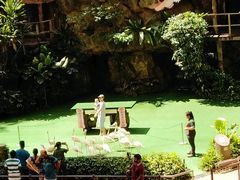 -新加坡飞禽公园