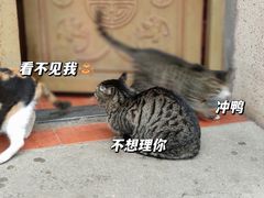 -长春观