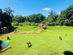 -海南热带野生动植物园