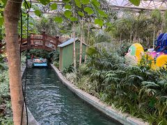 -南宫五洲植物乐园