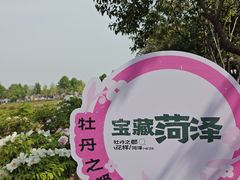 -曹州牡丹园