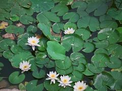 -西安华清御汤酒店