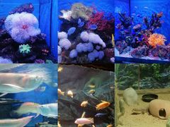 -多彩贵州城极地海洋世界