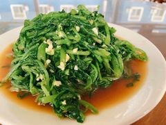 拌泉水菜-俺家菜馆(百里峡店)