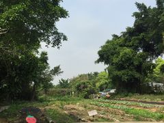 -茂德公草堂