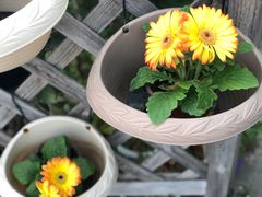 -白塘生态植物园