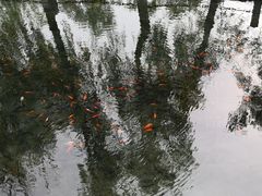 -水磨沟公园