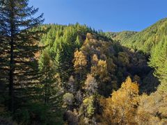 -苏木山森林公园