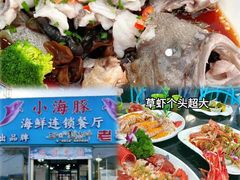 -小海豚•老字号海鲜餐厅(天涯店)
