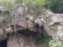-树山生态村