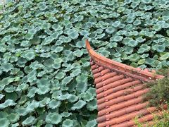 -湖畔居茶楼(湖滨店)