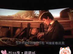 -万达影城(IMAX激光铁西万达广场店)