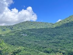 -三亚亚龙湾人间天堂鸟巢度假村