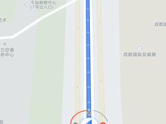 -雷祖芳老妈蹄花店