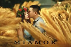 点击看大图 -MIAMOR米艾茉婚纱摄影(江都店)