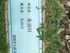 -人民公园(罗湖区)