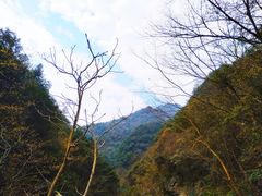 -宁波五龙潭景区