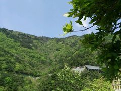 -木兰云雾山