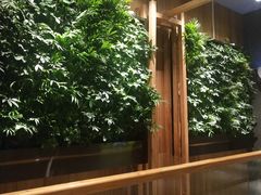-巴奴毛肚火锅(淮河路店)