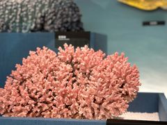 -中国湿地博物馆