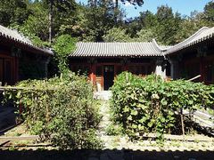 -阳台山自然风景区