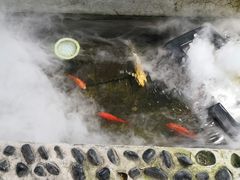 景观位-丽江庭院之爱在路上(西单店)