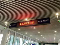 -海口东站