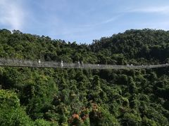 -三亚亚龙湾人间天堂鸟巢度假村