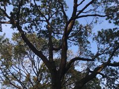 -人民公园(罗湖区)