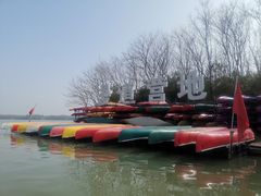 -上海海湾国家森林公园