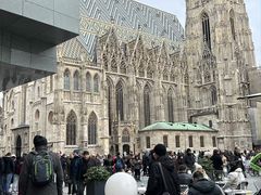 -斯蒂芬主教座堂(Stephansdom)