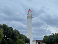 -企鹅岛