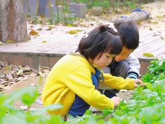 -斯坦丁国际幼稚园(驿都校区)
