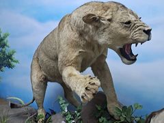 -西霞口神雕山野生动物世界