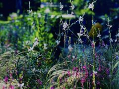 -国家植物园