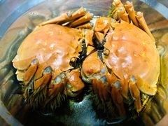 -阳澄湖大闸蟹·琼灵阁牌品牌连锁(吴中总店)