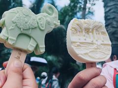 -中国科学院西双版纳热带植物园