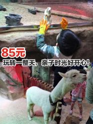 -宝燕乐园(闵行旗舰店)