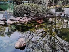 -上海醉白池公园