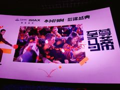 -万达影城(汉街万达广场IMAX店)