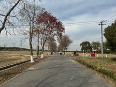 -嘉北郊野公园