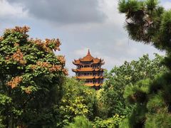 -黄鹤楼公园(黄鹤楼)