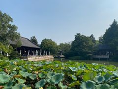 -杭州西子湖四季酒店·金沙厅