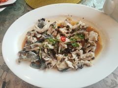 清蒸生猛开刀龙趸-新兴家喻酒家·羊城名宴(昌岗店)