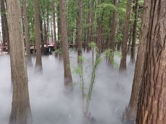 -东湖落雁景区
