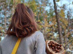 -艾溪湖湿地公园