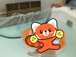 点击看大图 -安琪朵朵独栋花园月子中心