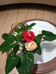 -skin79皮肤管理中心