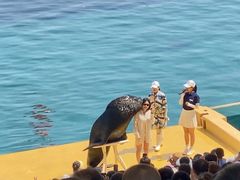 -秦皇岛乐岛海洋王国