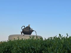 -龙坞茶村